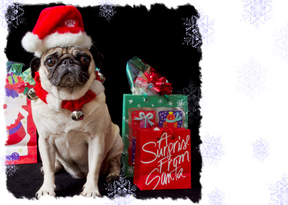 Xmas Sample 2